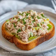 Toast au Thon en 15 Minutes