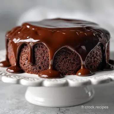 Recette au Gateau Chocolat Facile en 45 Minutes Fiche recette