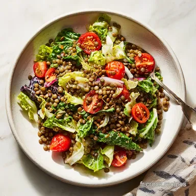 Salade De Lentilles Froide Pour 4 Personnes Fiche recette
