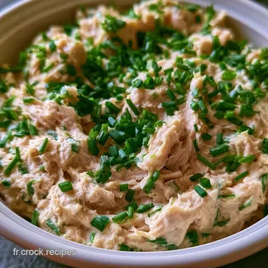Tartinade De Thon En 5 Minutes Fiche recette