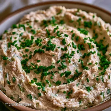 Tartinade Thon Fromage Frais en 5 Minutes Fiche recette